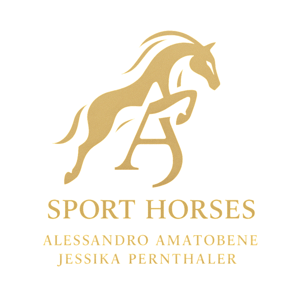 AJ SPORT HORSES